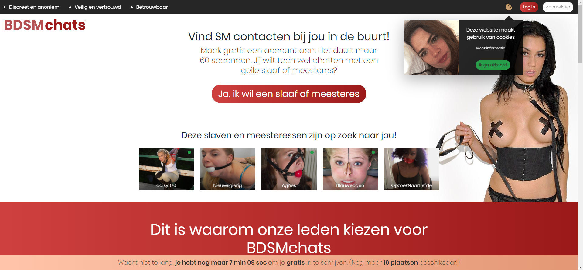 BDSM Chats Logo