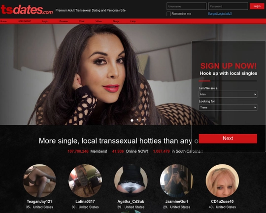 TsDates Logo